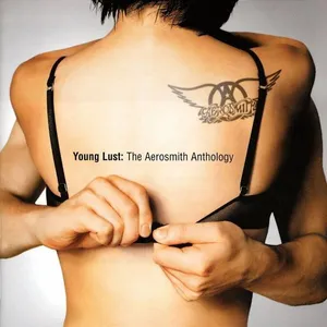 Young lust : the Aerosmith anthology
